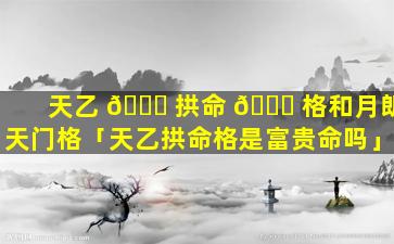 天乙 🐛 拱命 🐈 格和月朗天门格「天乙拱命格是富贵命吗」